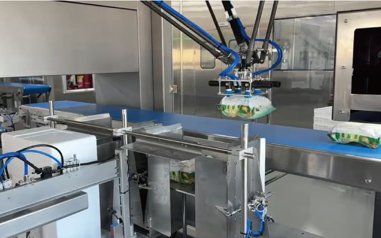 Frozen Tart Crust Packaging Production Line