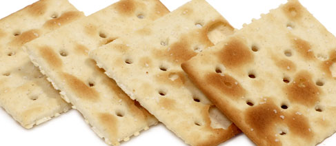 Soda Cracker